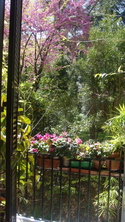 Bed & Breakfast Cagliari House Rome