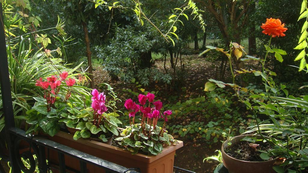 Bed & Breakfast Cagliari House *